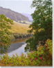 Large image, click to enlarge