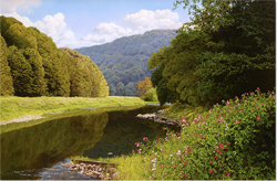 Large image, click to enlarge