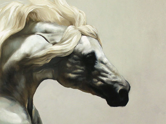 Natalie Stutely, Original oil painting on panel, Andalusian Stallion Signature image. Click to enlarge