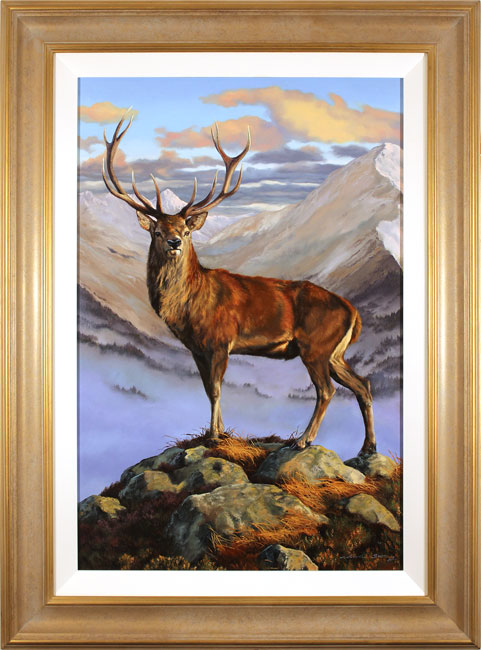 Natalie Stutely, Original oil painting on panel, Red Stag with Beinn Eighe, Torridon, click to enlarge