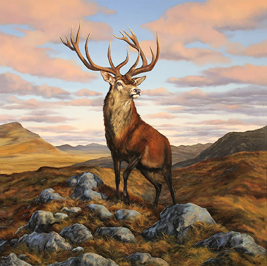 Natalie Stutely, Original oil painting on panel, Imperial Red Stag of Glen Coe Without frame image. Click to enlarge