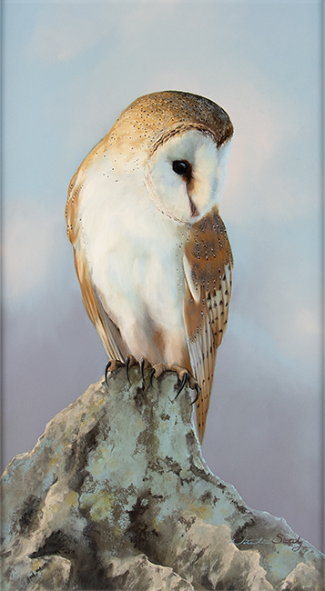 Natalie Stutely, Original oil painting on panel, Barn Owl