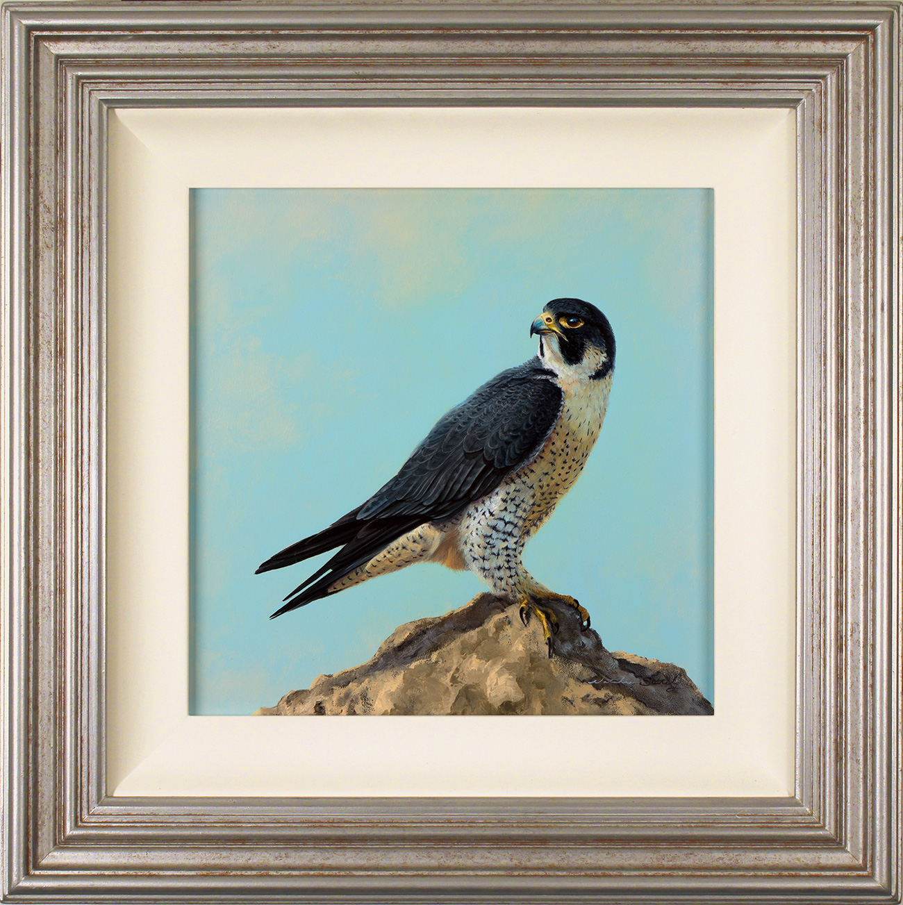Original falcon hot sale