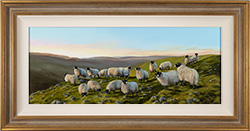 Natalie Stutely, Original oil painting on panel, Swaledale Sheep near Oxnop
