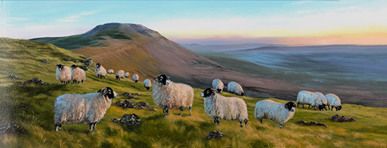 Natalie Stutely, Original oil painting on panel, Swaledale Sheep at Simon Fell, Ingleborough