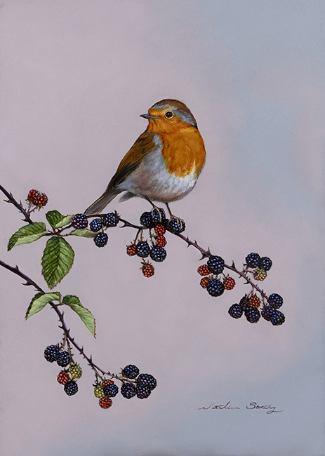 Natalie Stutely, Original oil painting on panel, Robin and Blackberries, click to enlarge