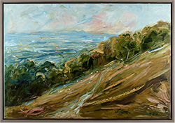 Large image, click to enlarge