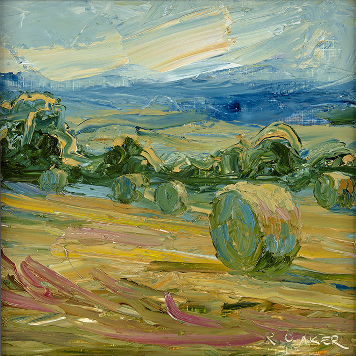 No frame image, click to enlarge