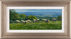 Stephen Hawkins, Original oil painting on panel, Summer Grazing, Yorkshire Dales