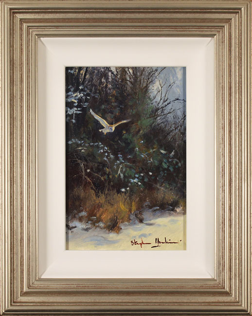 Stephen Hawkins, Original oil painting on panel, Barn Owl in Flight, click to enlarge