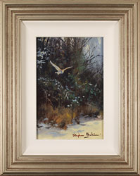 Stephen Hawkins, Original oil painting on panel, Barn Owl in Flight