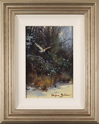 Large image, click to enlarge