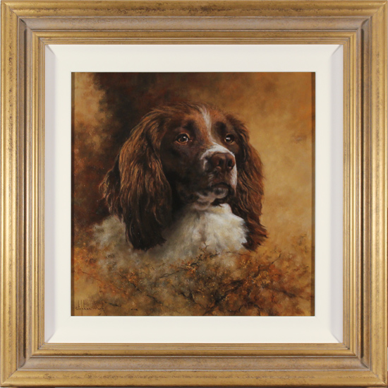 Stephen Park, Original oil painting on panel, Springer Spaniel 