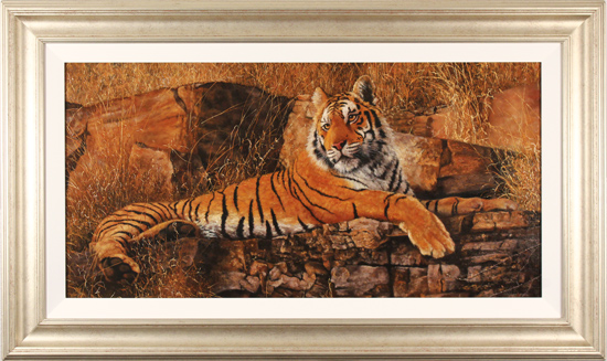 Stephen Park, Original oil painting on panel, Bengal Tiger, click to enlarge