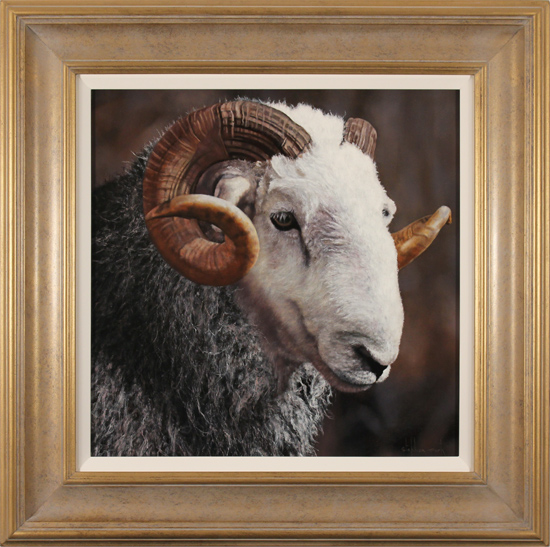 Stephen Park, Original oil painting on panel, Herdwick Ram