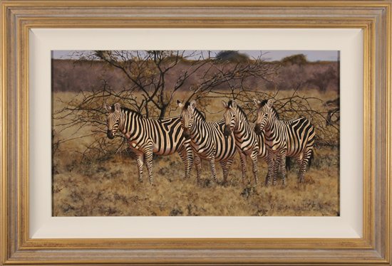 Stephen Park, Original oil painting on panel, Zebra