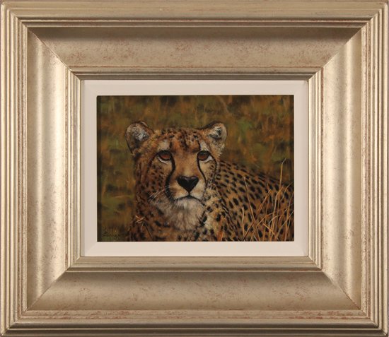 Stephen Park, Original oil painting on panel, Cheetah