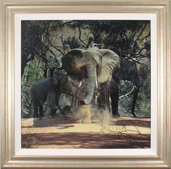 Stephen Park, Original oil painting on panel, Elephants 