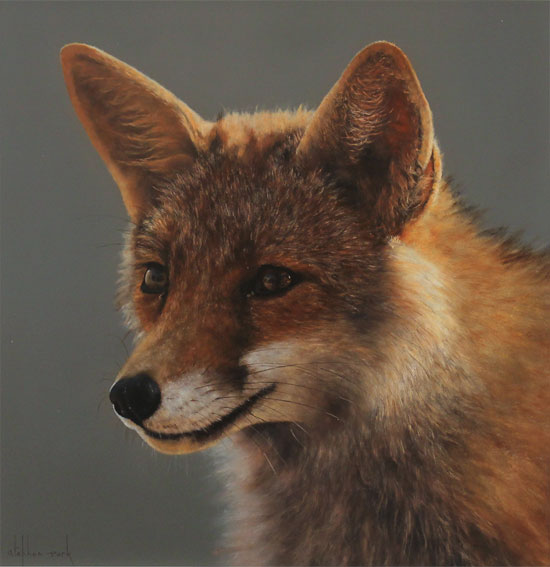 Stephen Park, Original oil painting on panel, Fox Without frame image. Click to enlarge