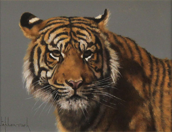 Stephen Park, Original oil painting on panel, Tiger Without frame image. Click to enlarge