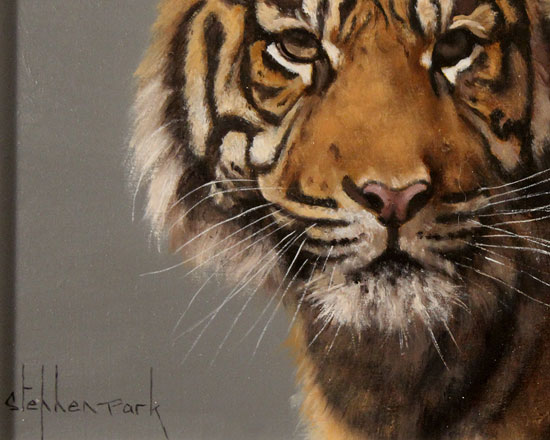 Stephen Park, Original oil painting on panel, Tiger Signature image. Click to enlarge