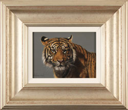 Stephen Park, Original oil painting on panel, Tiger