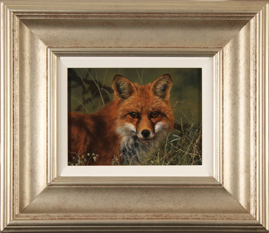 Stephen Park, Original oil painting on panel, Fox, click to enlarge