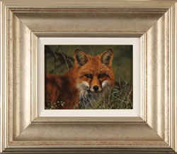 Large image, click to enlarge