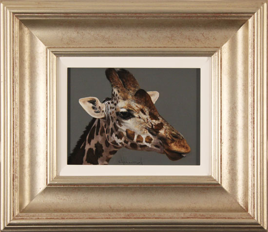 Stephen Park, Original oil painting on panel, Giraffe 