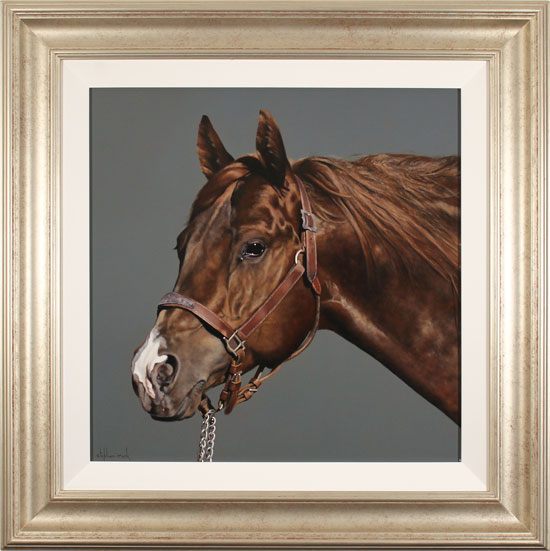 Stephen Park, Original oil painting on panel, Thoroughbred Stallion, click to enlarge