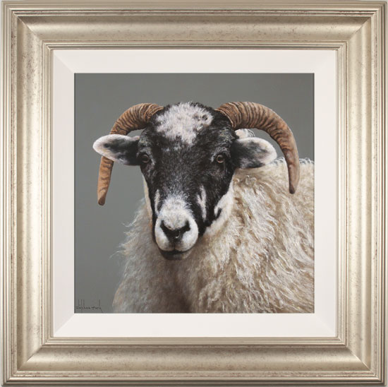 Stephen Park, Original oil painting on panel, Ewe, click to enlarge