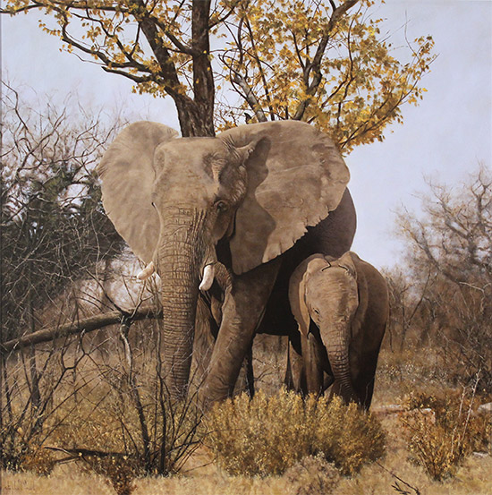 Stephen Park, Original oil painting on panel, Elephant Mother and Calf