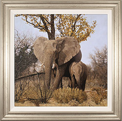 Stephen Park, Original oil painting on panel, Elephant Mother and Calf