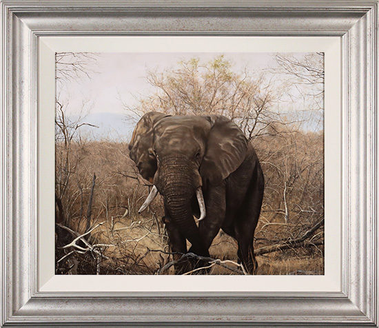 Stephen Park, Original oil painting on panel, Elephant