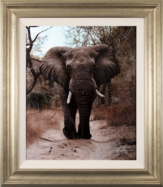 Stephen Park, Original oil painting on panel, Bull Elephant