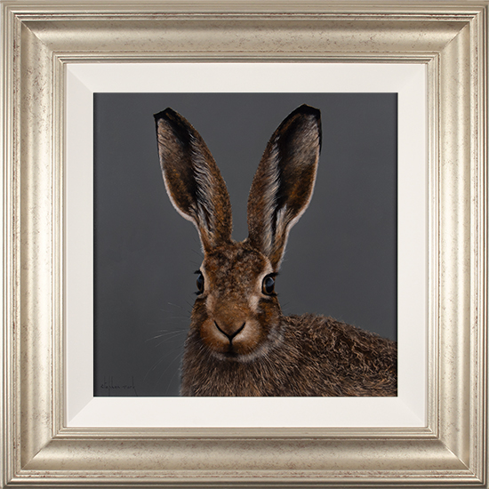 Stephen Park, Original oil painting on panel, Hare 