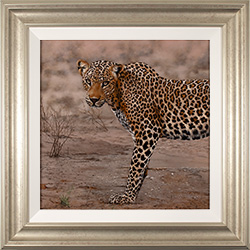 Large image, click to enlarge