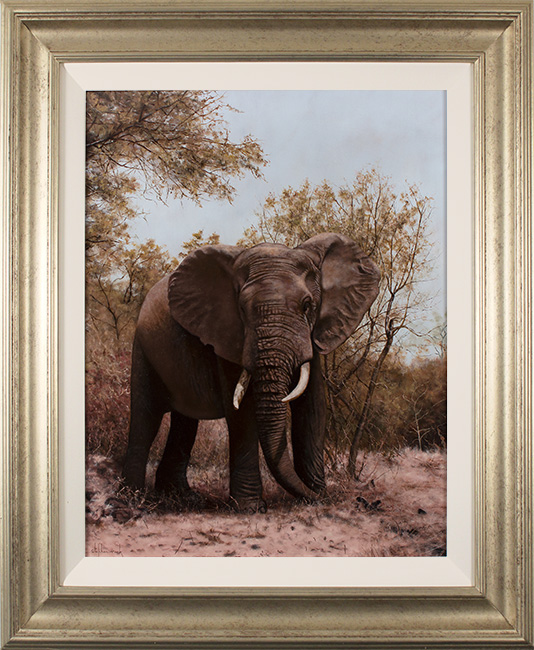 Stephen Park, Original oil painting on panel, Elephant 