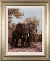 Large image, click to enlarge