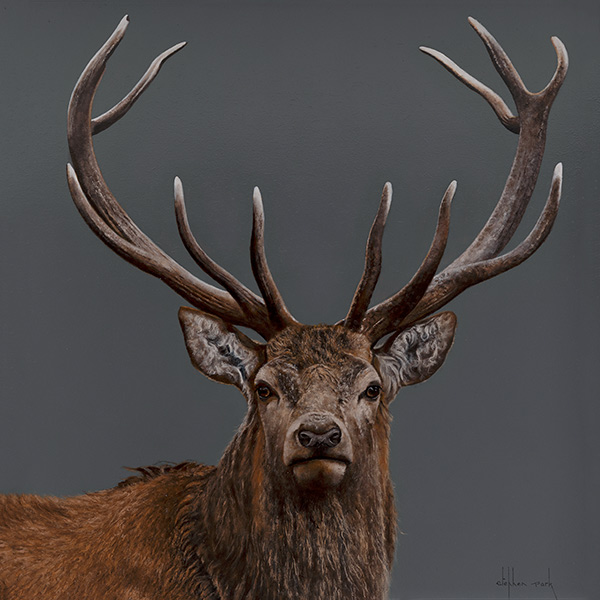 Stephen Park, Original oil painting on panel, Stag