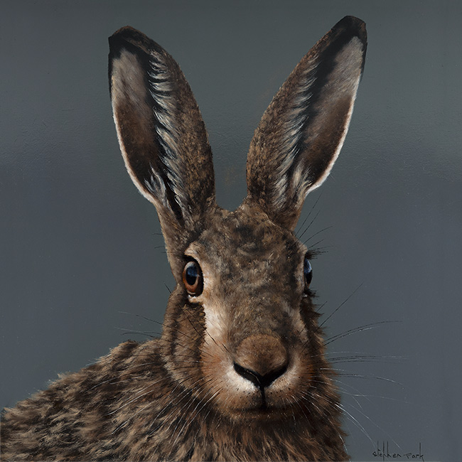 Stephen Park, Original oil painting on panel, Hare