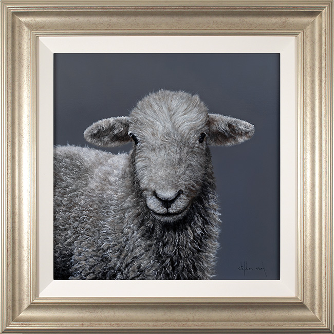 Stephen Park, Original oil painting on panel, Herdwick Ewe