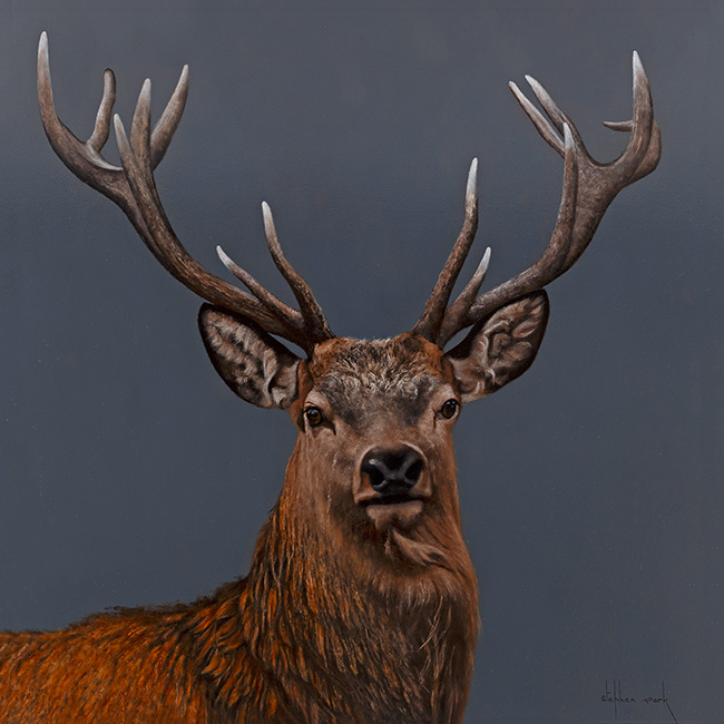 Stephen Park, Original oil painting on panel, Highland Stag
