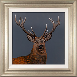 Large image, click to enlarge
