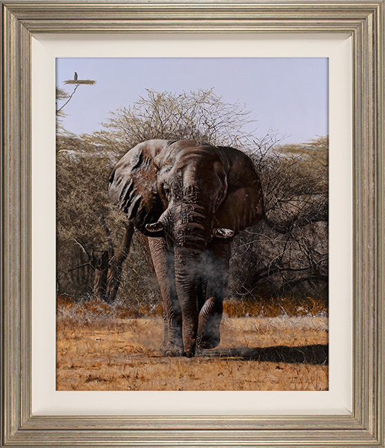 Stephen Park, Original oil painting on panel, Bull Elephant, click to enlarge