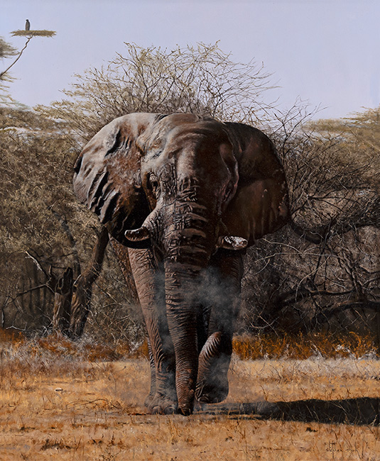 Stephen Park, Original oil painting on panel, Bull Elephant