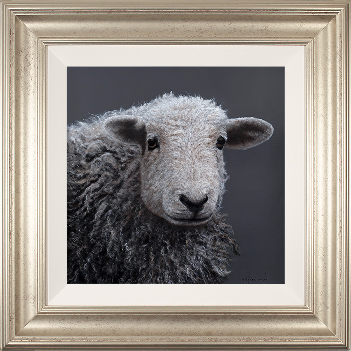 Stephen Park, Original oil painting on panel, Herdwick Ewe, click to enlarge