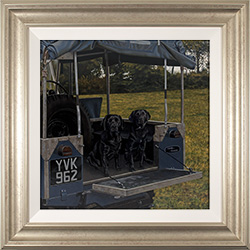 Large image, click to enlarge