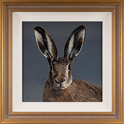 Stephen Park, Original oil painting on panel, Hare