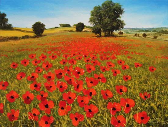Steve Thoms, Original oil painting on panel, Poppy Fields, Yorkshire Wolds Without frame image. Click to enlarge